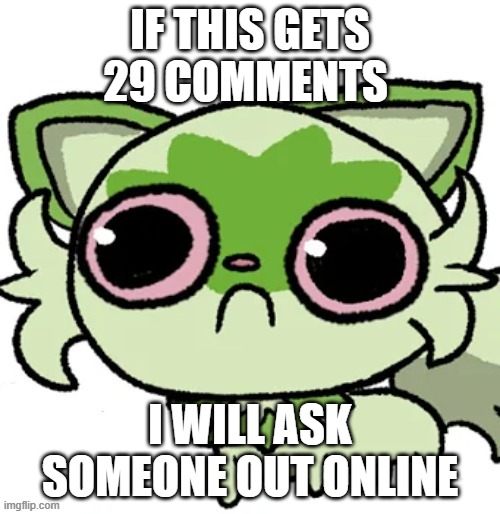 weed cat | IF THIS GETS 29 COMMENTS; I WILL ASK SOMEONE OUT ONLINE | image tagged in weed cat | made w/ Imgflip meme maker