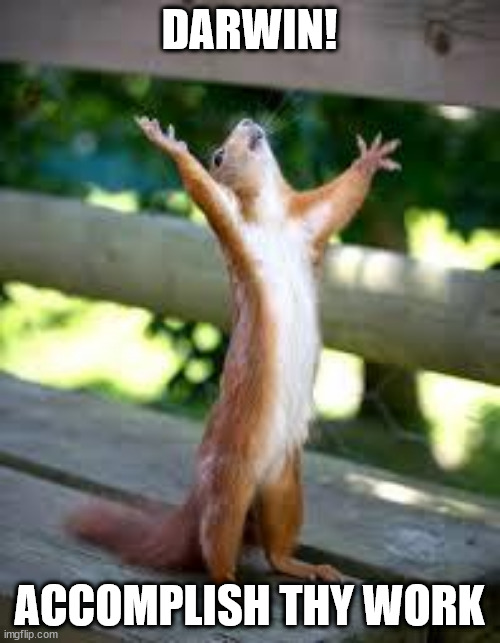 Praise Squirrel | DARWIN! ACCOMPLISH THY WORK | image tagged in praise squirrel | made w/ Imgflip meme maker