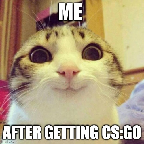Smiling Cat | ME; AFTER GETTING CS:GO | image tagged in memes,smiling cat | made w/ Imgflip meme maker