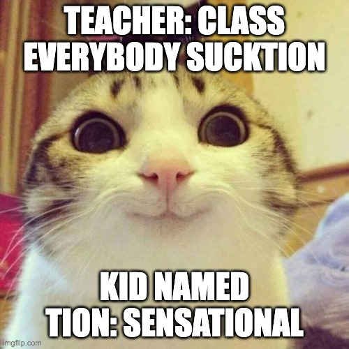 Smiling Cat | TEACHER: CLASS EVERYBODY SUCKTION; KID NAMED TION: SENSATIONAL | image tagged in memes,smiling cat | made w/ Imgflip meme maker