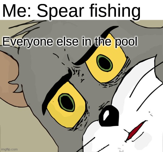 Unsettled Tom Meme | Me: Spear fishing; Everyone else in the pool | image tagged in memes,unsettled tom,tom and jerry,fishing | made w/ Imgflip meme maker