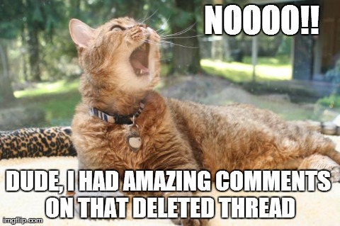 NOOOO!! DUDE, I HAD AMAZING COMMENTS ON THAT DELETED THREAD | image tagged in drama cat | made w/ Imgflip meme maker
