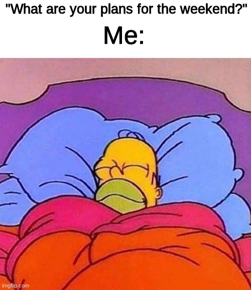 Easiest response for me | "What are your plans for the weekend?"; Me: | image tagged in homer simpson sleeping peacefully | made w/ Imgflip meme maker