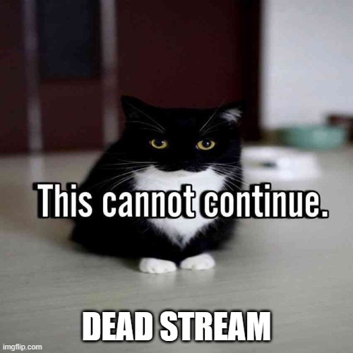 maxwell disapproves | DEAD STREAM | image tagged in maxwell disapproves | made w/ Imgflip meme maker