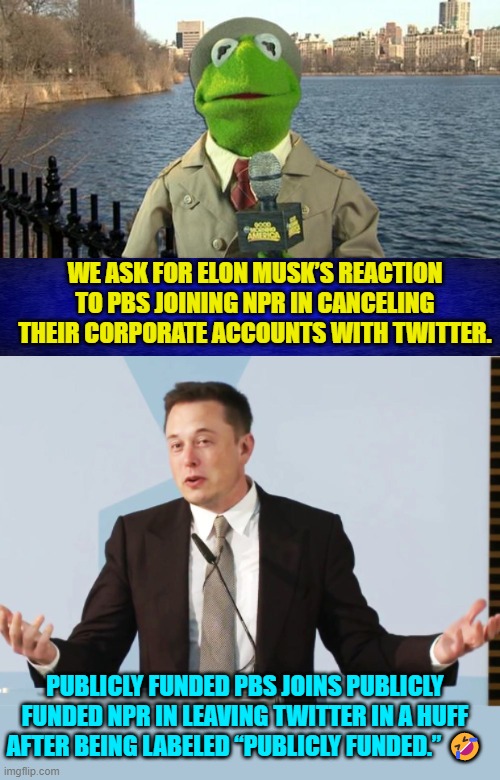 Ste funded 'news' organizations hate being called state funded news organizations. | WE ASK FOR ELON MUSK’S REACTION TO PBS JOINING NPR IN CANCELING THEIR CORPORATE ACCOUNTS WITH TWITTER. PUBLICLY FUNDED PBS JOINS PUBLICLY FUNDED NPR IN LEAVING TWITTER IN A HUFF AFTER BEING LABELED “PUBLICLY FUNDED.” 🤣 | image tagged in kermit news report | made w/ Imgflip meme maker