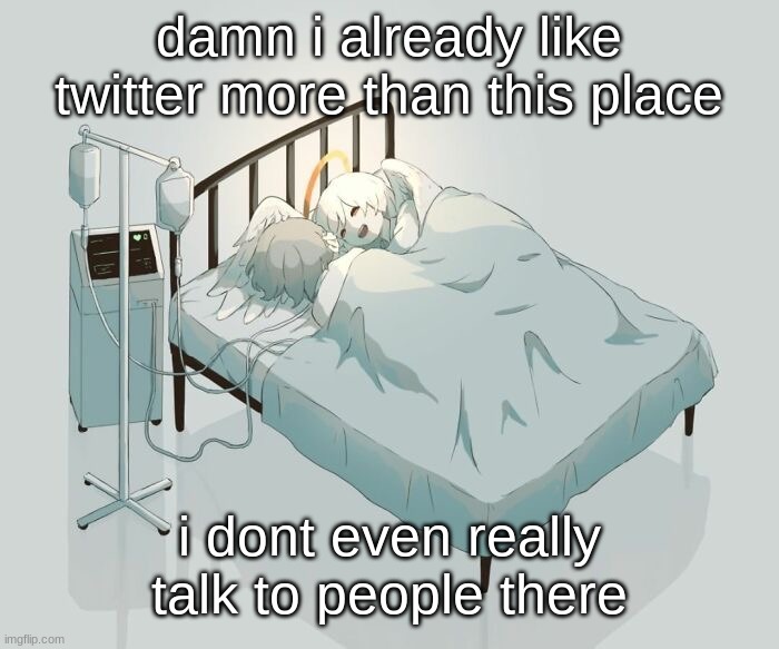 Avogado6 depression | damn i already like twitter more than this place; i dont even really talk to people there | image tagged in avogado6 depression | made w/ Imgflip meme maker