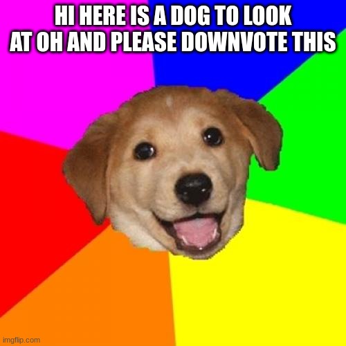 Dog | HI HERE IS A DOG TO LOOK AT OH AND PLEASE DOWNVOTE THIS | image tagged in memes,advice dog | made w/ Imgflip meme maker