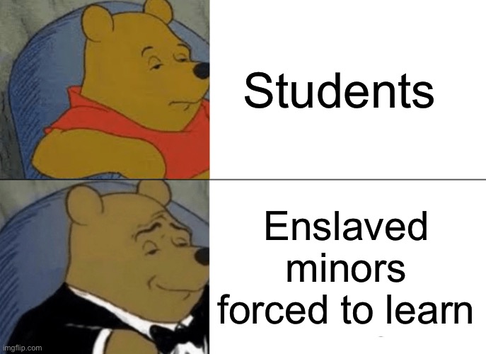 Tuxedo Winnie The Pooh | Students; Enslaved minors forced to learn | image tagged in memes,tuxedo winnie the pooh | made w/ Imgflip meme maker