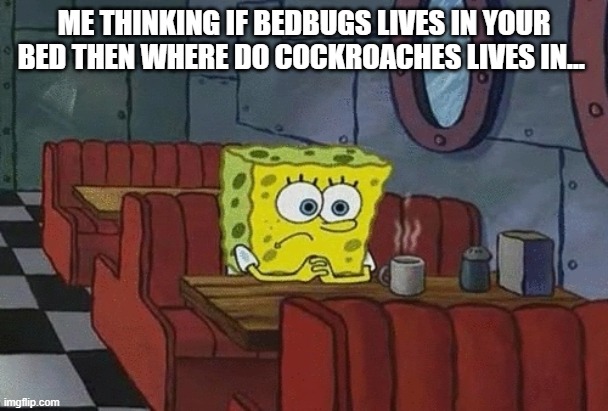 im thinking | ME THINKING IF BEDBUGS LIVES IN YOUR BED THEN WHERE DO COCKROACHES LIVES IN... | image tagged in funny memes | made w/ Imgflip meme maker