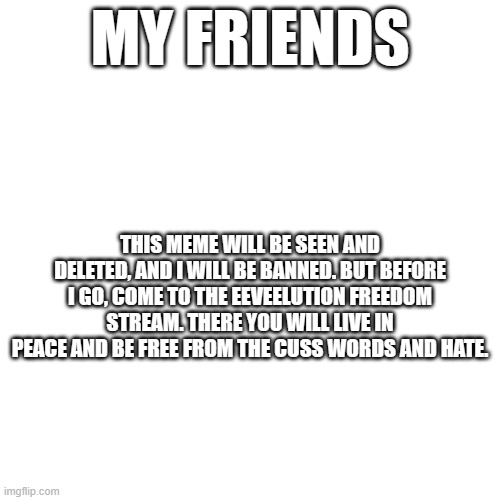 Goodbye my friends. The hate is saddening, I lose all of my friends, but together we can create something brighter. | MY FRIENDS; THIS MEME WILL BE SEEN AND DELETED, AND I WILL BE BANNED. BUT BEFORE I GO, COME TO THE EEVEELUTION FREEDOM STREAM. THERE YOU WILL LIVE IN PEACE AND BE FREE FROM THE CUSS WORDS AND HATE. | image tagged in freedom of speech,freedom | made w/ Imgflip meme maker