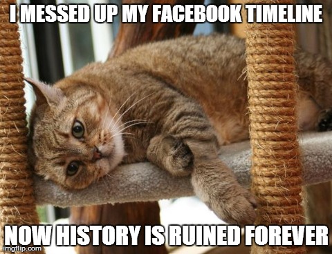 First World Cat Problems | I MESSED UP MY FACEBOOK TIMELINE NOW HISTORY IS RUINED FOREVER | image tagged in first world cat problems | made w/ Imgflip meme maker