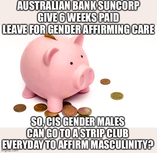 Includes time for coming out events and clothes shopping. | AUSTRALIAN BANK SUNCORP GIVE 6 WEEKS PAID LEAVE FOR GENDER AFFIRMING CARE; SO, CIS GENDER MALES CAN GO TO A STRIP CLUB EVERYDAY TO AFFIRM MASCULINITY? | image tagged in piggy bank,paid leave,gender affirming | made w/ Imgflip meme maker