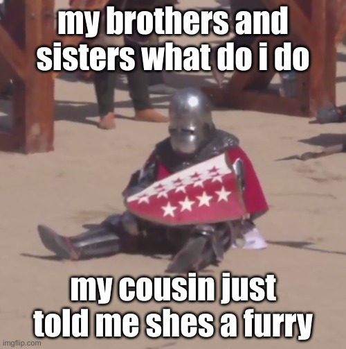 what does i doo | my brothers and sisters what do i do; my cousin just told me shes a furry | image tagged in sad crusader noises | made w/ Imgflip meme maker