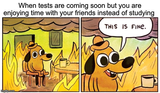 Lol | When tests are coming soon but you are enjoying time with your friends instead of studying | image tagged in memes,this is fine | made w/ Imgflip meme maker