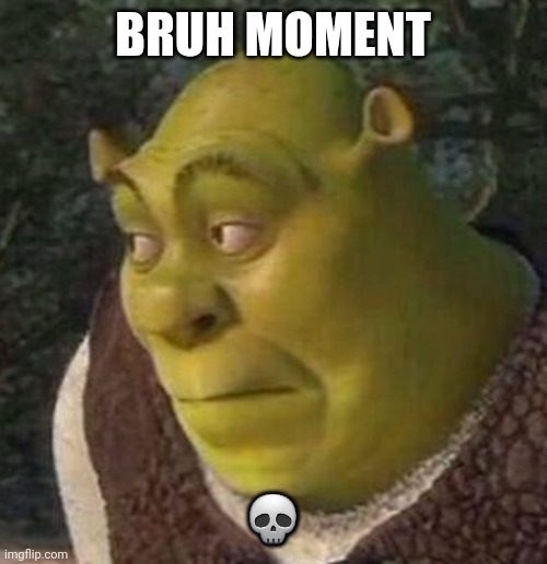 Shrek | BRUH MOMENT ? | image tagged in shrek | made w/ Imgflip meme maker