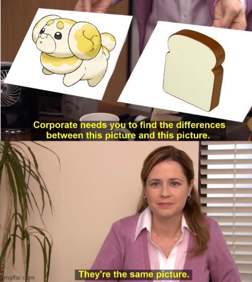 Fidough Meme | image tagged in memes,they're the same picture | made w/ Imgflip meme maker