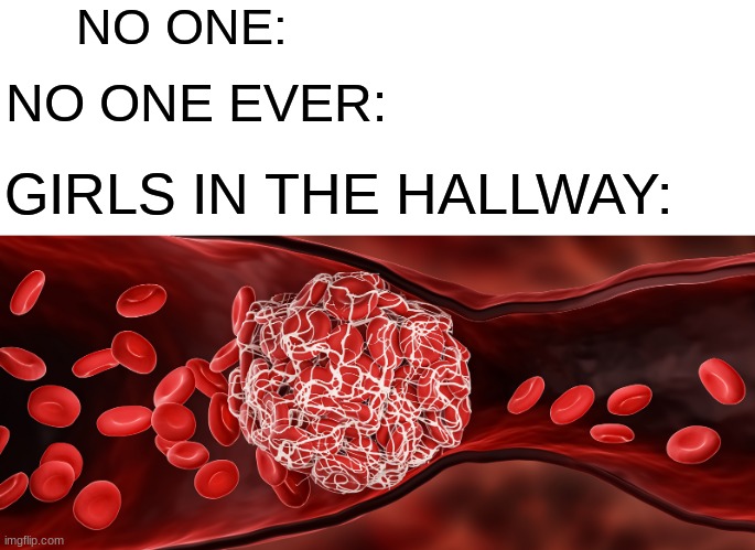 why do they do this? | NO ONE:; NO ONE EVER:; GIRLS IN THE HALLWAY: | image tagged in funny,socially awesome awkward penguin,so true memes,true story,school | made w/ Imgflip meme maker