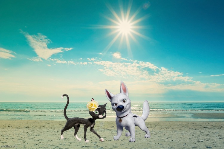 bolttens: summer romance | image tagged in summer-beach,disney,dogs,cats,romance,summer | made w/ Imgflip meme maker