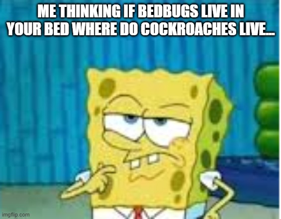 ima gonna think about it | ME THINKING IF BEDBUGS LIVE IN YOUR BED WHERE DO COCKROACHES LIVE... | image tagged in spongebob | made w/ Imgflip meme maker