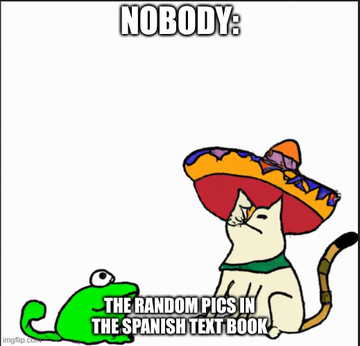 NOBODY:; THE RANDOM PICS IN THE SPANISH TEXT BOOK | image tagged in school | made w/ Imgflip meme maker