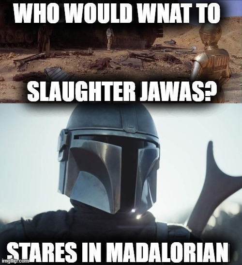 WHO WOULD WNAT TO; SLAUGHTER JAWAS? STARES IN MADALORIAN | made w/ Imgflip meme maker