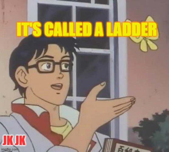 IT'S CALLED A LADDER JK JK | image tagged in memes,is this a pigeon | made w/ Imgflip meme maker