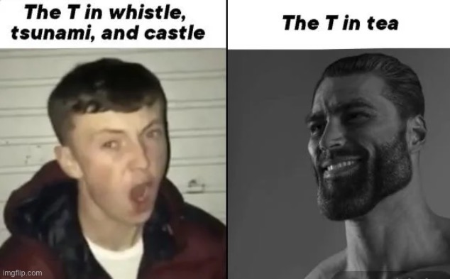 image tagged in memes | made w/ Imgflip meme maker