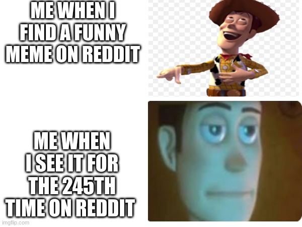 i think weve all been there | ME WHEN I FIND A FUNNY MEME ON REDDIT; ME WHEN I SEE IT FOR THE 245TH TIME ON REDDIT | image tagged in funny meme,woody | made w/ Imgflip meme maker