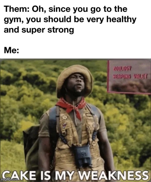 image tagged in memes | made w/ Imgflip meme maker