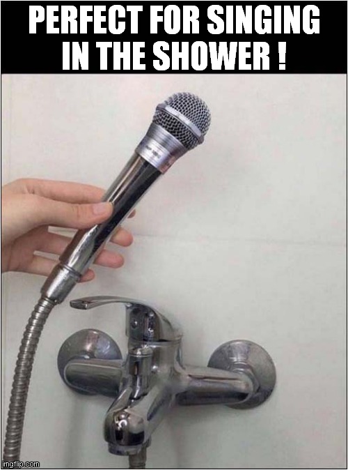 Did I Unplug This From The Electric Supply ? | PERFECT FOR SINGING
IN THE SHOWER ! | image tagged in microphone,shower,electricity,dark humour | made w/ Imgflip meme maker