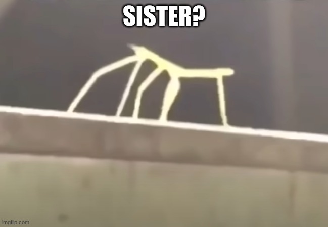 stick bugged but no text | SISTER? | image tagged in stick bugged but no text | made w/ Imgflip meme maker