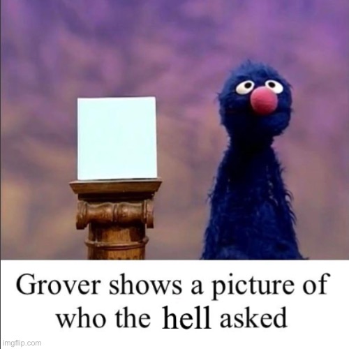 Grover shows a picture of who the hell asked | image tagged in grover who asked | made w/ Imgflip meme maker