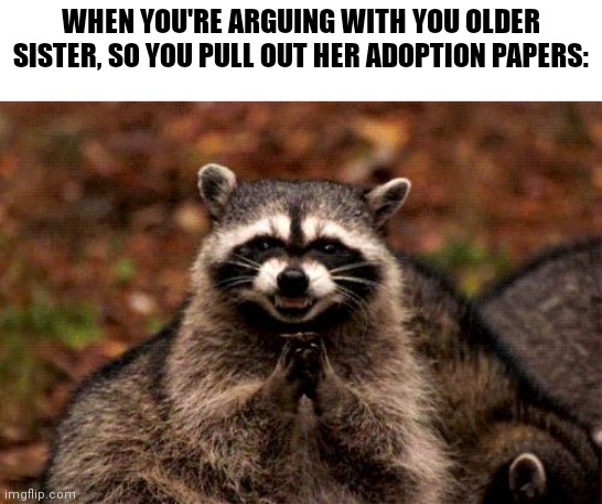 Oops >:) | WHEN YOU'RE ARGUING WITH YOU OLDER SISTER, SO YOU PULL OUT HER ADOPTION PAPERS: | image tagged in memes,evil plotting raccoon | made w/ Imgflip meme maker
