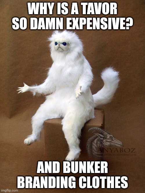 Persian Cat Room Guardian Single | WHY IS A TAVOR SO DAMN EXPENSIVE? AND BUNKER BRANDING CLOTHES | image tagged in memes,persian cat room guardian single | made w/ Imgflip meme maker