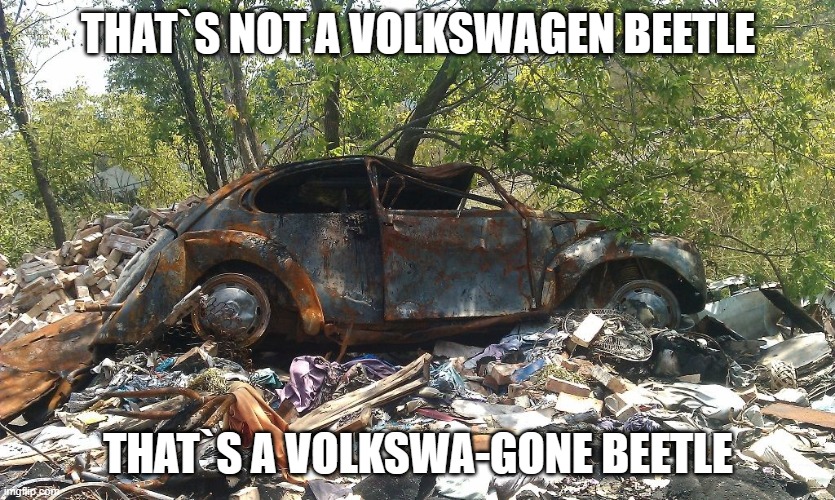 Thats Not A VW Beetle | THAT`S NOT A VOLKSWAGEN BEETLE; THAT`S A VOLKSWA-GONE BEETLE | image tagged in cars,car,abandoned car,vw beetle,volkwagen,volkswagen beetle | made w/ Imgflip meme maker