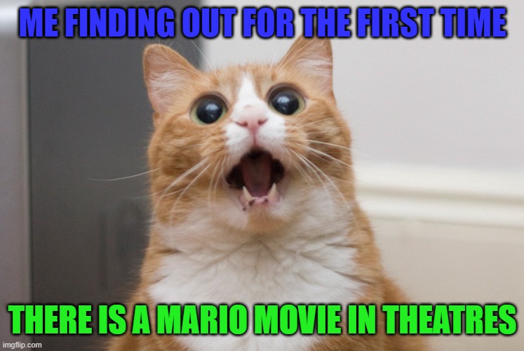 Meme #57 (2023) | ME FINDING OUT FOR THE FIRST TIME; THERE IS A MARIO MOVIE IN THEATRES | image tagged in amazed cat,lol,yay,imgflip | made w/ Imgflip meme maker
