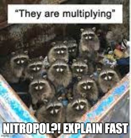 Nitropol, why am I finding more and more raccoons in my nation | NITROPOL?! EXPLAIN FAST | made w/ Imgflip meme maker