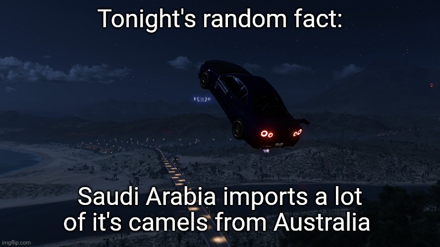 Gn chat | Tonight's random fact:; Saudi Arabia imports a lot of it's camels from Australia | image tagged in forza horizon 5 | made w/ Imgflip meme maker