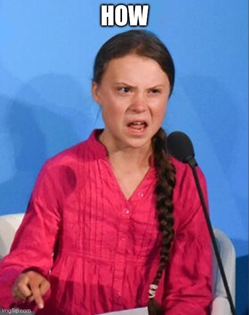 Greta Thunberg how dare you | HOW | image tagged in greta thunberg how dare you | made w/ Imgflip meme maker