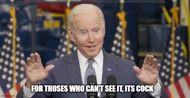 Cocky joe biden | FOR THOSES WHO CAN'T SEE IT, ITS COCK | image tagged in cocky joe biden | made w/ Imgflip meme maker