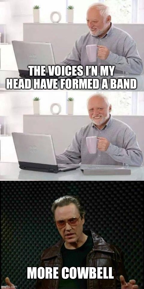 THE VOICES I’N MY HEAD HAVE FORMED A BAND MORE COWBELL | image tagged in memes,hide the pain harold,needs more cowbell | made w/ Imgflip meme maker