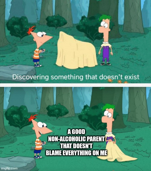 Discovering something that doesn't exist | A GOOD NON-ALCOHOLIC PARENT
THAT DOESN'T BLAME EVERYTHING ON ME | image tagged in discovering something that doesn't exist | made w/ Imgflip meme maker