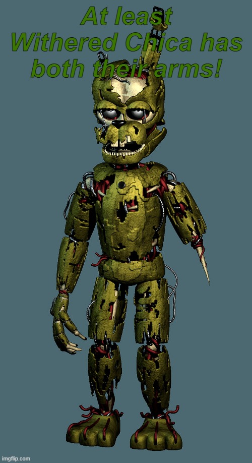 At least Withered Chica has both their arms! | made w/ Imgflip meme maker