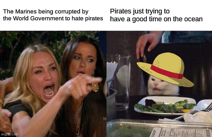 They wanna be free | The Marines being corrupted by the World Government to hate pirates; Pirates just trying to have a good time on the ocean | image tagged in memes,woman yelling at cat,one piece,anime | made w/ Imgflip meme maker