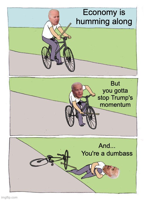 As dumb as the stick | Economy is humming along; But you gotta stop Trump's momentum; And...
You're a dumbass | image tagged in memes,bike fall | made w/ Imgflip meme maker