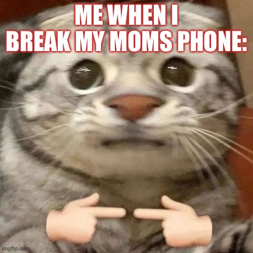 Toco | ME WHEN I BREAK MY MOMS PHONE: | image tagged in toco | made w/ Imgflip meme maker