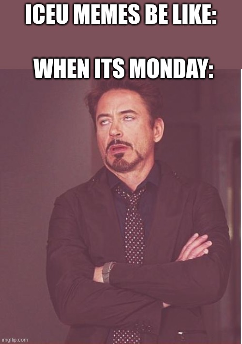 Face You Make Robert Downey Jr | ICEU MEMES BE LIKE:; WHEN ITS MONDAY: | image tagged in memes,face you make robert downey jr | made w/ Imgflip meme maker