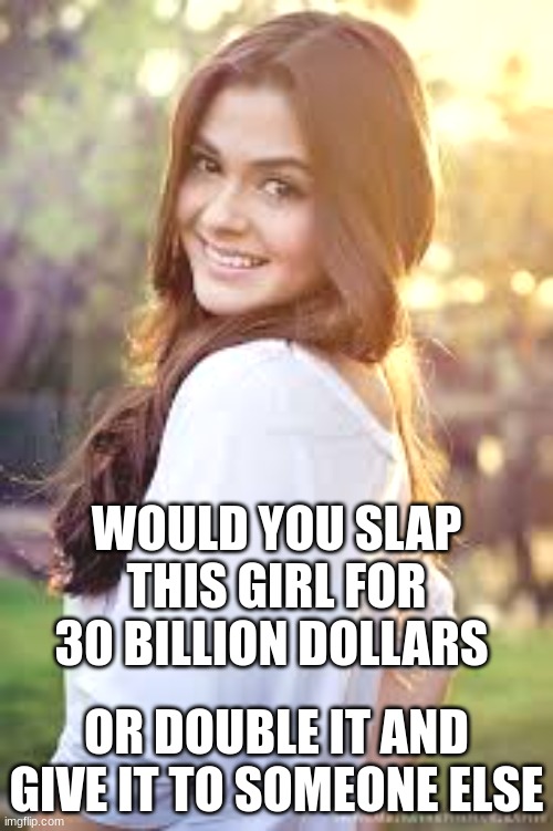 money | WOULD YOU SLAP THIS GIRL FOR 30 BILLION DOLLARS; OR DOUBLE IT AND GIVE IT TO SOMEONE ELSE | image tagged in cute girl | made w/ Imgflip meme maker