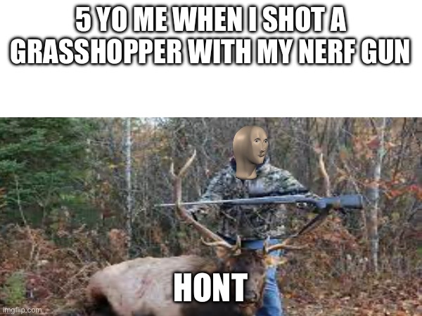 Did anyone else do this | 5 YO ME WHEN I SHOT A GRASSHOPPER WITH MY NERF GUN; HONT | image tagged in blank | made w/ Imgflip meme maker