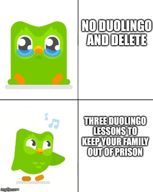 Duolingo | NO DUOLINGO AND DELETE; THREE DUOLINGO LESSONS TO KEEP YOUR FAMILY OUT OF PRISON | image tagged in duolingo drake meme | made w/ Imgflip meme maker